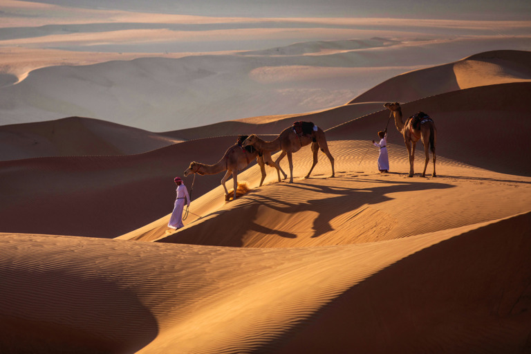 Mohammed Muhtasib - Badia Desert